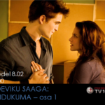 Videviku-saaga.png