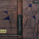 Luule-Maar.png