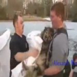 VAATA-VIDEOT-Vahel-vajame-me-kõik-päästmist.png