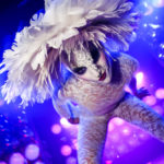 cirquelesoir.jpg