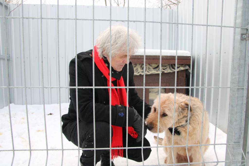 VIDEO! Tallinna loomade varjupaigast on uue kodu leidnud tuhatkond looma