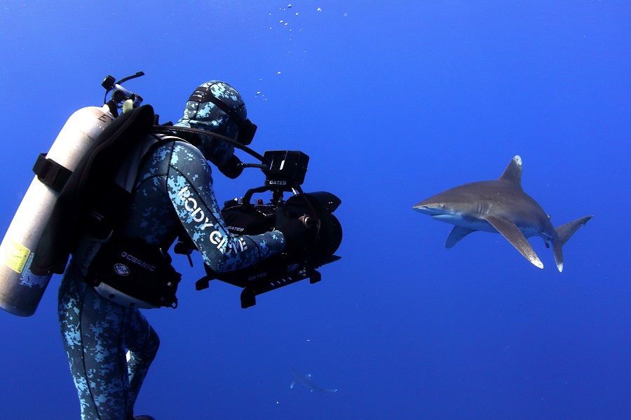 Matsalu loodusfilmide festivali võitis traagiliselt hukkunud kanadalase dokumentaal haidest