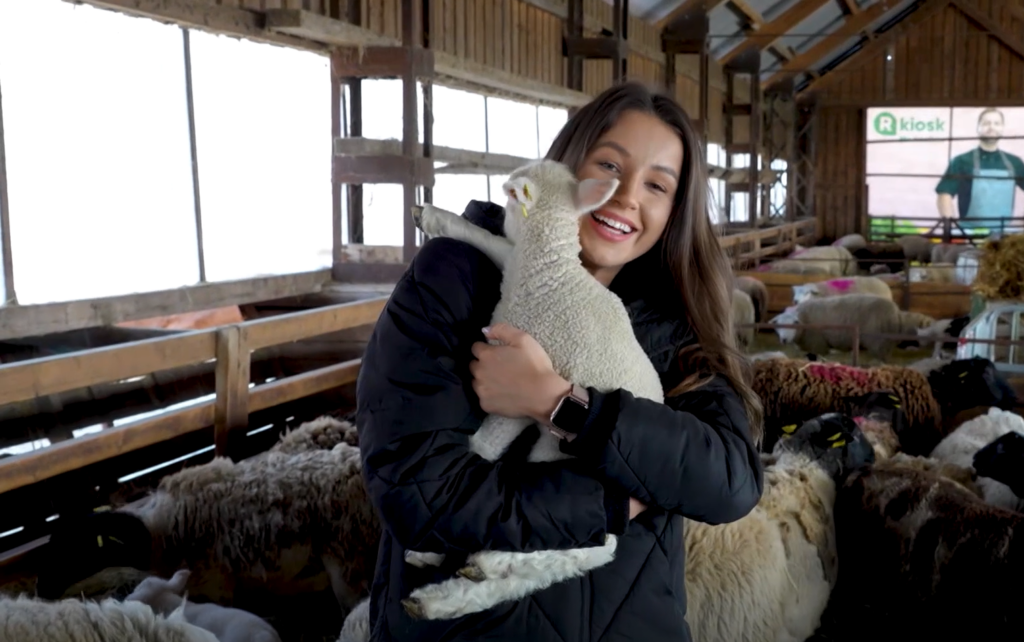 VIDEO I Nunnumeeter laes! Järvamaa lambatalus on käes kevadine beebibuum